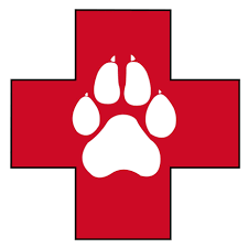 Astoria, bayside, brooklyn, forest hills, glen oaks, little. Veterinary Care Center Home Facebook