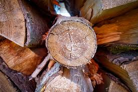 Ahşap kazıklarınızı yapılardan, güvertelerden ve propan tanklarından. Ahsap Kazik Yakacak Odun Woods Pixabay De Ucretsiz Fotograf