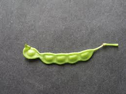 Image result for Aeschynomene sensitiva