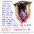 Which Direction To Shave Pubic Hair