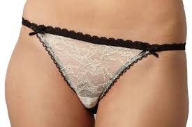 Panty police: Florida lawmaker wants to regulate intimate apparel try-ons