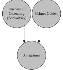 Familiarity with Bon Winter Pear and other varieties?