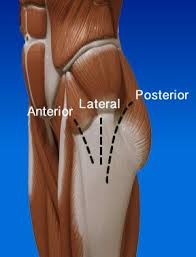Hip Replacement Direct Anterior Approach Hip Replacement Recovery Hip Replacement Total Hip Replacement
