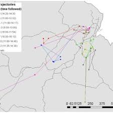 Did the law library have anything to help our case? Pdf Large Range Movements Of Neotropical Orchid Bees Observed Via Radio Telemetry