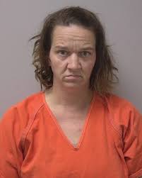 CRIME: Marathon County felony gallery for April 17, 2025