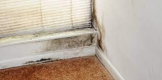 Maybe you would like to learn more about one of these? Diy Replacing Mobile Home Floors In 7 Easy Steps