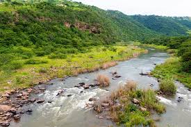Стеллан скарсгард, николя уолкер, лесли мэнвилл и др. Dusi Canoe Marathon S Msunduzi River In Serious Trouble