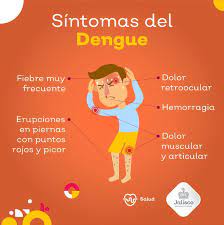 El dengue o fiebre quebrantahuesos y la fiebre hemorrágica del dengue son enfermedades transmitidas por un mosquito de actividad diurna. Conoce Los Tipos Sintomas Y Precauciones Para Combatir El Dengue El Occidental Noticias Locales Policiacas Sobre Mexico Guadalajara Y El Mundo