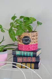 50 Funny Plant Quotes Funny Garden Quotes The Gifted Gabber Gardening Quotes Funny Plants Quotes Garden Quotes