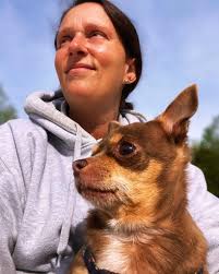 Photo of a 14-year-old Chihuahua named Turbo