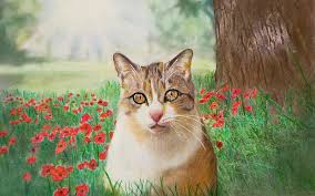 Maybe you would like to learn more about one of these? Beautiful Creatures Grayscale Adult Coloring Book Cat In The Flowers Coloring Examples Huelish Grayscale Adult Coloring Books