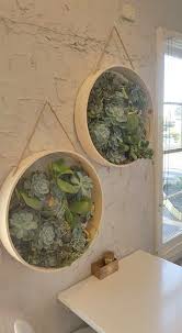 Diy Deco Avec Un Tamis Diy Deco With A Sieve Venus S Beauty En 2020 Idee Deco Nature Deco Plantes Interieur Idees Jardin