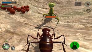 Mining simulator is a roblox game where players can go on mining expeditions by themselves or with friends. Ant Simulation 3d Insect Survival Game 3 3 4 Apk Androidappsapk Co