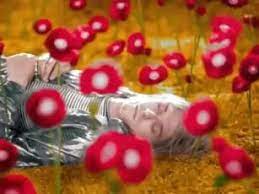 She eyes me like a pisces when i am weak i've been locked inside your heart shaped box for a weeks i've been drawn into your magnet tar pit trap i wish i could eat your cancer when you turn black. Nirvana Heart Shaped Box Schnittbericht Schnittberichte Com