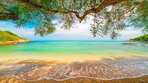 Explore and download more than million+ free png transparent images. Sandy Beach Hd Wallpapers Free Download Wallpaperbetter