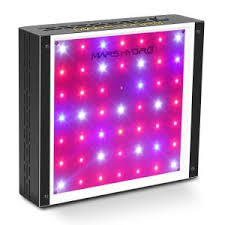 Led grow lights stimulate healthy growth, flowering and yield without wasting energy, making. 15 Best Led Grow Lights Reviews For Cannabis 2020