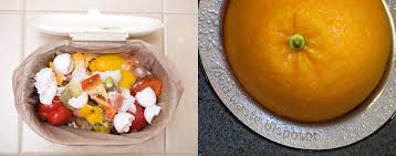 I believe that the garbage disposal vs composting debate should be primarily about where you live, how much land you have, and whether or not you have a septic tank. Garbage Can Or Garbage Disposal Which Is Greener Ukiah Recycles