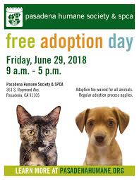 Maybe you would like to learn more about one of these? Pasadena Humane On Twitter Looking To Add A New Furry Friend To Your Family The Pasadena Humane Society Spca Will Hold Its 5th Annual Free Adoption Day On June 29 Adoption