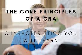 You will find everything you need to successfully master both. The Core Principles Of A Cna Sochi Edu