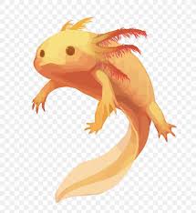 An axolotl is an aquatic passive mob that attacks most other underwater mobs. Salamander Axolotl Animal Drawing Cuteness Png 1500x1632px Salamander Amphibian Animal Art Axolotl Download Free