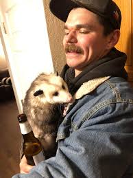 Who can build 4.5 miles of fence at Monkey Creek, Quanah, Tx?