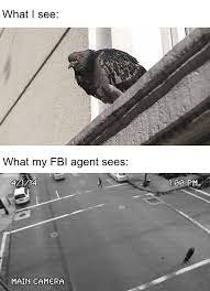 The Birds Work For The Bourgeoisie Memes