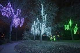 An Homage To Ice Crystal Laden Trees Surrounding The Majestic Niagara Falls This Stunning Winter Scene Comes To Life W Outdoor Holiday Lights Outdoor Lighting