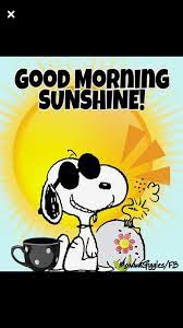 For every success of a person there will be a countless pain in his heart and that pain makes him a successful person in life. Pin On Snoppy