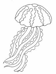 Jelly Fish Coloring Pages Jellyfish Scyphozoa Jellyfish Coloring Page Jpg Fish Coloring Page Octopus Coloring Page Coloring Pages