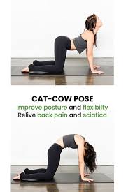 Cat Cow Pose Cow Pose Cat Cow Pose Yoga Mats Best