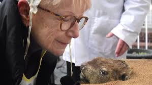 Flores wins big at Gambler's Classic to cap indoor racing season