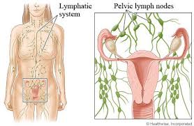 Swollen Lymph Nodes Lymph Nodes Swollen Lymph Nodes Lymphatic Drainage Massage