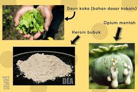 Apa Saja Yang Termasuk Zat Adiktif Fisika Kelas 8