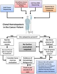 Children with bone marrow failure disorders are at risk of certain cancers: Clonal Hematopoiesis In Cancer Experimental Hematology