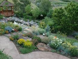 By applying the principles of xeriscape, a landscape can be beautiful and diverse while using less water. 62 Top Xeriscape Landscaping Colorado Inspirations You Need To Know Xeriscape Landscaping Colorado Landscaping Xeriscape