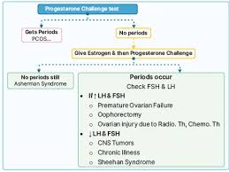 Image result for Progesterone Challenge Test