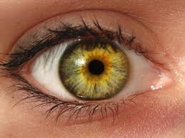 Pin By Felicia Littlejohn On It S All In The Eyes Beautiful Eyes Color Central Heterochromia Eye Color