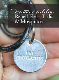 Pet Protector The Best Non Toxic Way To Prevent Fleas Ticks Mosquitos Fleas Dogs Dog Treats