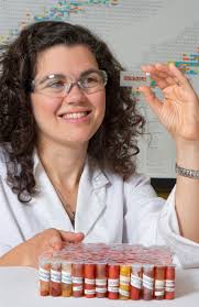 Although I have been President of the Society for Archaeological Sciences  since 2016, I wanted to write a more formal welcome in