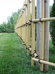 Fake Bamboo Fence Outside The Japanese Gardens Bamboo Fence Japanese Garden Garden Bonsai Tree