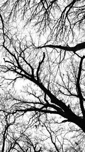 A collection of the top 43 black and white wallpapers and backgrounds available for download for free. Top Wallpaper Black And White Iphone Hq Download Wallpapers Book Your 1 Source For Free Download Hd 4k High Quality Wallpapers