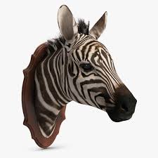 Zebra Head Trophy 3d Model Ad Head Zebra Model Trophy Zebra Zebra Art 3d Model