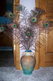 Fruit plate fruit basket peacock fruit dish metal fruit bowl candy storage basket craft ornaments for home birthday weeding party decorations. Information About Rate My Space Peacock Bedroom Peacock Decor Bedroom Peacock Decor