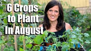 Where you can plant in august 6 Crops To Plant In August For Late Summer Harvest Youtube