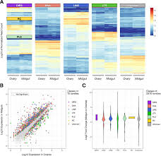 Ana?s croze the cheap show. The Genome Sequence Of The Cereal Pest Sitophilus Oryzae An Unprecedented Transposable Element Content Biorxiv