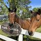 CORRAL Kildaire Service Saturdays (2025-26)