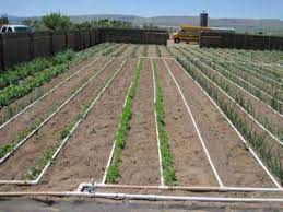 Not only is this diy drip irrigations system great so we don't have to water these pots, but it makes it much easier to ensure our peppers and tomatoes are getting a consistent amount of water. Designing A Basic Pvc Home Garden Drip Irrigation System Usu