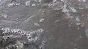 Jellyfish crush - ThisVid.com на русском