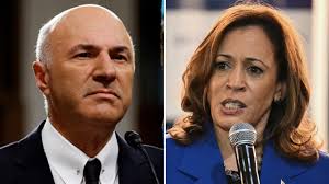 Kevin O'Leary tears into Harris' 'inflationary' economic agenda: 'We're  getting Bidenomics 2.0'