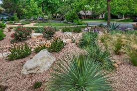 Minimal water requirements doesn't have to mean a lack of color in the garden. Xeriscape Design Ideas Hgtv